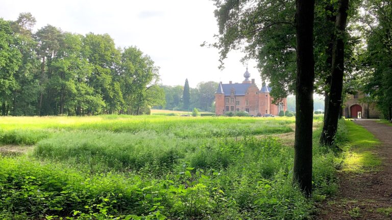 Sterrebos - een verhaal van Yves Bondue